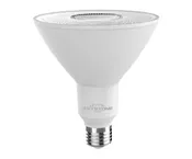 1,260 Lumens | 4000K | 12.5 Watt | PAR38 | LED FL