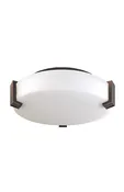 12″ Ceiling Light-Dark Bronze