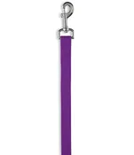 Purple Leash — Furry Friends