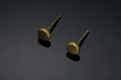 Drishti Post Earrings