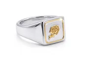 The Framed Rose — Modernly Mindful