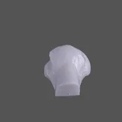 Humeral Head Bone PK/30