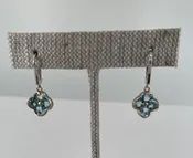 Aquamarine “Cousins” Earrings