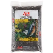 Lyric - Black Oil Sunflower — Montrose Feed and Supply