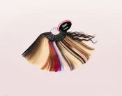 DreamCatchers Color Swatch