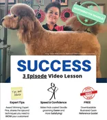 Mastering The Doodle – What You Need To Know To Groom Doodles Faster And Better