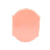 A Pound of Flesh Micro Series Plaque, 5.5 Inch x 7 Inch x .25 Inch
