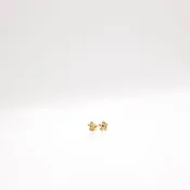Adoro Gems Flora Stud Earrings