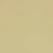 Allante Cream Vinyl