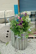 Planters, cored stone rollers sold as pair — The Garden Vault