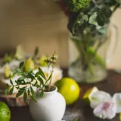Apple Blossom Bliss Fragrance Oil