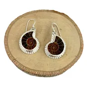 Ammonite Earrings