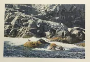 Helen Rundell Sea Ledge — Art & Frame MA