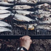 Grilling