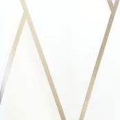 Asymmetry BRP4800 - White/Gold