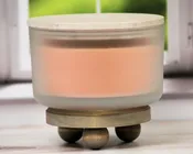 3 Wick - Orange Citronella Scented Candle (17 oz)