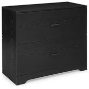 2-Drawer Lateral File Cabinet with Adjustable Bars for Home Office, Black
