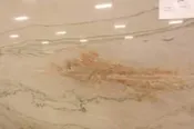 Ariana Quartzite Countertop
