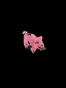 Beaded Pig
