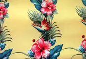 Aloha