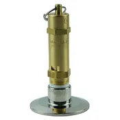 10 PSI Safety Valve with 2″ x 1/2″ Adapter