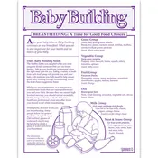 Baby Building™ Breastfeeding Tear Pad, English/Spanish