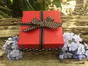 12 Painted Lady Butterflies – Polka-Dot Box