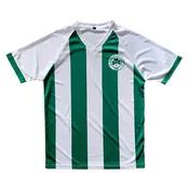 Adult PANATHINAIKOS Soccer Jersey