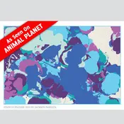 Art by Shelter Cats Notecards