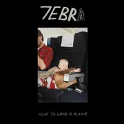 7EBRA - How to Land a Plane