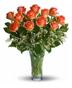 1 DOZEN ORANGE ROSES