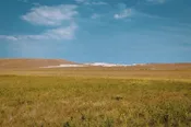 Undeveloped Land Parcel