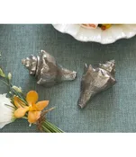 Pewter Conch Shell Salt and Pepper Shakers