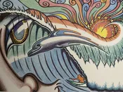Eye of the Ocean: A Symphony of Motion