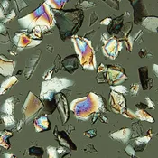 Cargille Mineral Reference Set-Common Rock Minerals