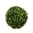 6" Boxwood Ball #1PC10070GR00