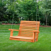 Babysitter Swing