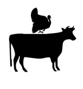 BONELESS BLEND – BEEF &amp;amp; TURKEY