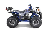 Premium Husky 125cc Kids Utility 4 Wheelers