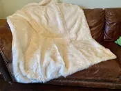 Clearance Dog Beds