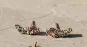 Absolute Earrings by Mania Mania