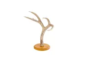 Antler Hat Rack — Peter Glass Woodworks