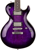 Bolero EX - Trans Purple