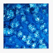 Allure 16"x16" Blue Velvet Antique Mirrored Wall Tile