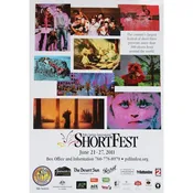 2011 Palm Springs International Shortfest Poster