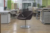 Davis Lipse Too Swivel Chairs