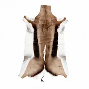 Authentic African Springbok Hide – Exact Hide