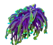 WYSIWYG Hellfire Torch