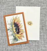 2026 Sunflower Cards – framed design