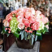Flora